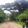 eyuelbunna
