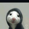 artureccy