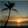 username2023_05