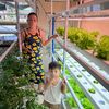 mabuhaycityhydroponics