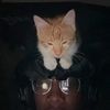 roland_aka