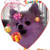 user28bgqp5sfb