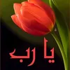 user962560577269