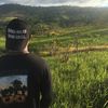 Albib^™Al®