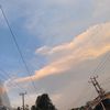 pettrea