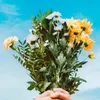 fannyflower3