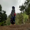 risviian