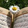 fatimamohammed434