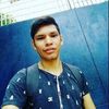 gandal86