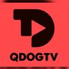 qdogttv