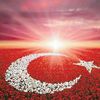 izlemeye değer