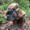 trev_longton