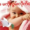 sabal.sabal5
