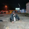 candrasetiawan709