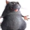 b....................t