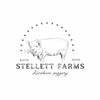 stellettfarmstn