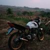arwanwandisaputrawandi