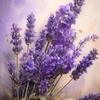 lavender.mam