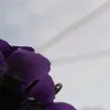 nooonebitan