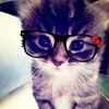 lusy_339