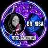 br_nisa