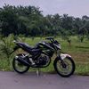 Cb Black Green