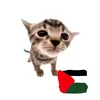 imwithyoupalestine
