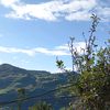 04_viviana11