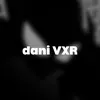 danivxr