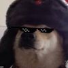 memeydoge