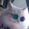 renar0_d