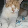 tyleriguess0
