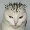 lanserino___