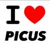 editsdelos_picus0