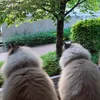 von_der_milchstrasse