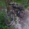 pawelek.010