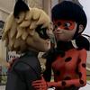 ladybugcatnoir1500