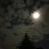 sarilarinbaba32