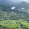 user4177420119308