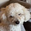 _george0914