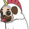 jr.ssj