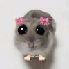 _acc0cutieee__