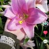 userapril5485
