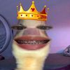 hi_nnd