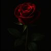 idontknowyou56_