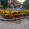 hong.phc.f.phm