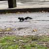 randomvidslmao07