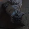 dannybullas666