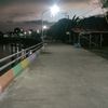 saubari_rekel