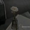 taurus.sad4